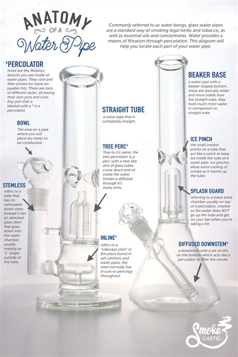 How Does A Bong Work A Guide To The Water Pipe Leafly