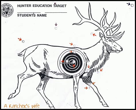 I can't get you free range time or free ammo, but i can help out with targets. city life to ranching wife.: Dreaming Big and Passing the ...