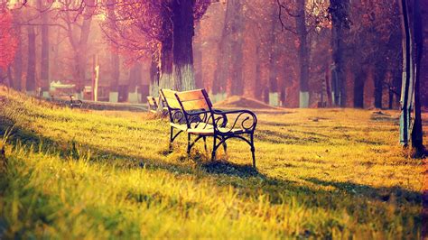 Wooden Park Bench On Green Grass In Park Hd Nature Wallpapers Hd