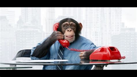 Monkey Business Br