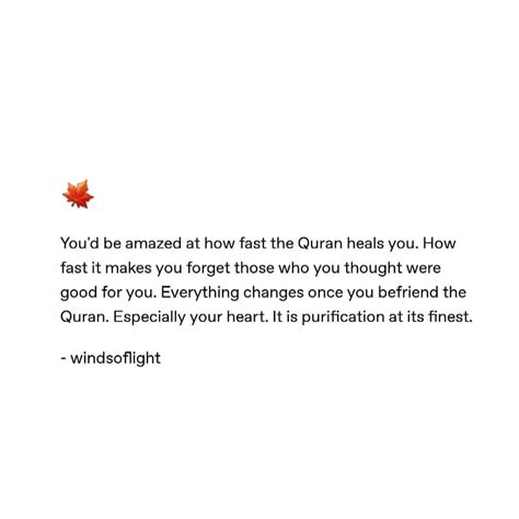 🍁 Quran Is The Best Purification Of The Heart Islamic Quotes Dont Lose Hope Quotes