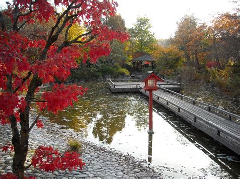 1.578 kostenlose bilder zum thema japanischer garten. Japanischer Garten... Foto & Bild | deutschland, europe ...