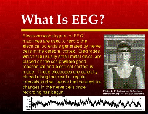 All other business postpaid customers enjoy extra data. What Is EEG?