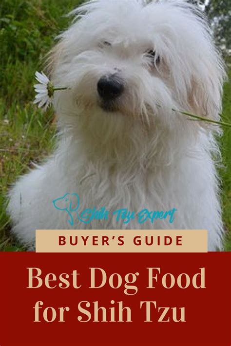 Best food for shih tzu puppy. Best dog food for Shih Tzu | Best dog food, Shih tzu puppy ...