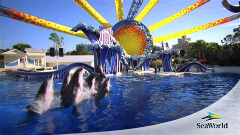 Seaworld Orlando Seaworld Parks And Entertainment Youtube