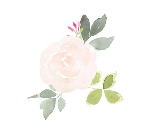 Watercolor Floral Clipart Peony Bouquet Clipart Pink And Etsy Peach