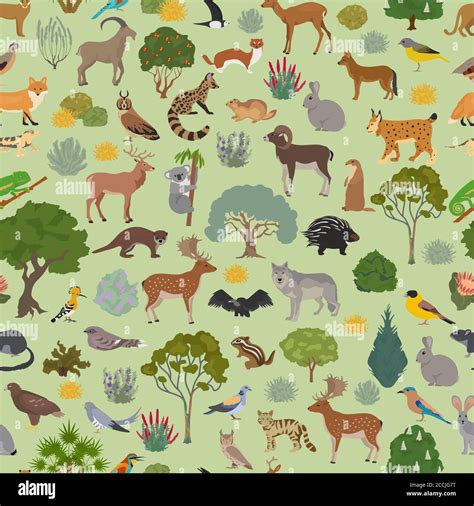 Mediterranean vegetation biome, natural region seamless pattern
