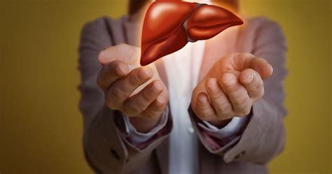 Understanding Fatty Liver Disease Hepatic Steatosis
