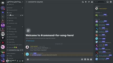 Tutorial How To Use Song Command In Discord Using Probot Youtube Gambaran