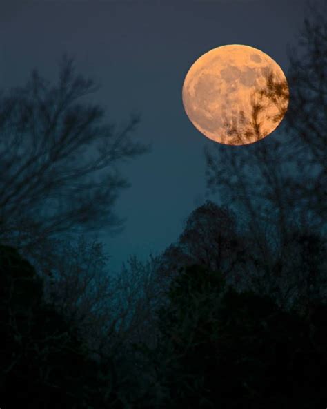 Long Night Moon Of December 16 On Earthsky Todays Image Earthsky