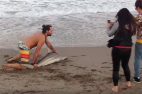 Man Pulls Shark From Sea To Pose For Pictures Video