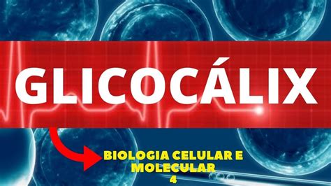 GlicocÁlix Membrana PlasmÁtica Biologia Celular E Molecular Aula