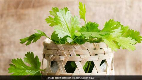 4 Ways To Use Coriander For Beautiful Skin Ndtv Food