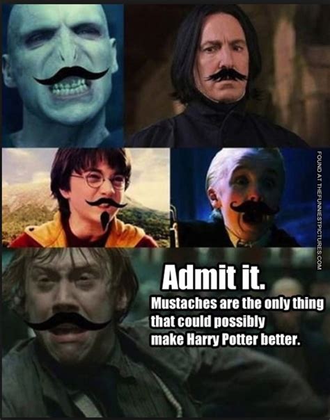 Like, anything dangerous happens, and harry is like *butterfly meme* is this a situation i should get. Yaaaasss | Harry potter memes, Harry potter funny, Harry ...