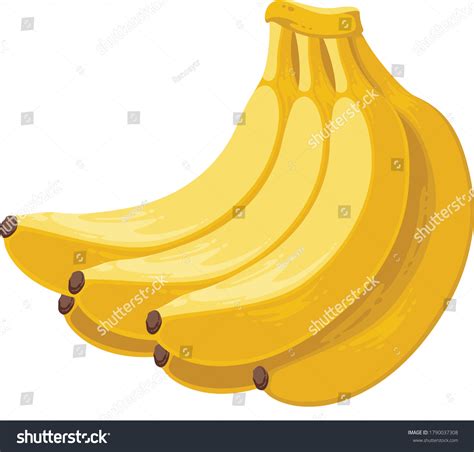 Healthy Banana Fruit Vector Illustration Isolated Stock Vector Royalty