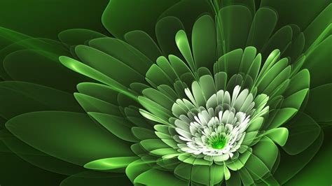 Green Flowers Wallpapers Wallpaper Cave