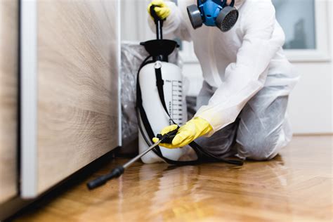Emergency Pest Control Services In London 247 Pest Control