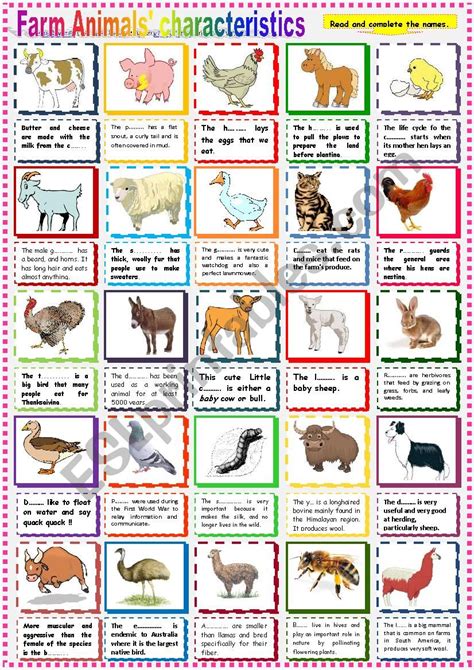Animal Characteristics Worksheet Animals English Lessons For Kids