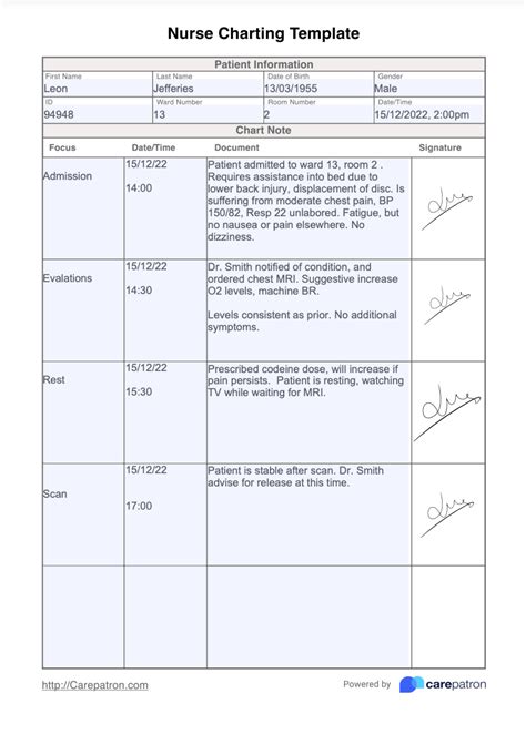Nursing Notes Template And Example Free Pdf Download