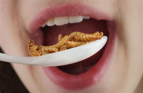 How Many Bugs Do I Eat Every Year Howstuffworks
