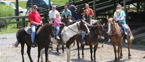 Gatlinburg Horseback Riding Find The Best Riding Stables