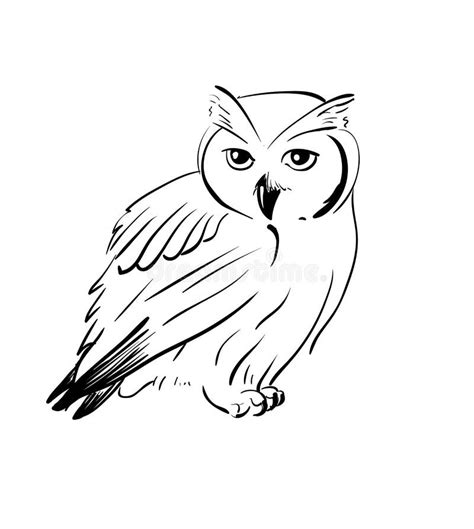 Owl Black White Stock Illustrations 16548 Owl Black White Stock