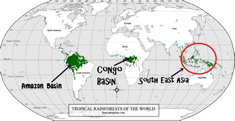 Unlike tropical monsoon climates, af climates do not have a dry season. The Tropical Rainforests of Southeast Asia