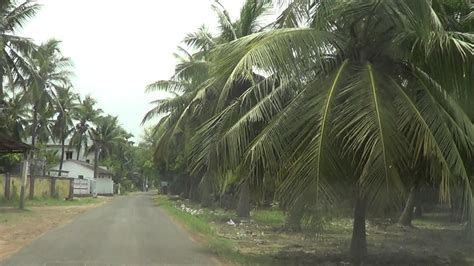 East Godavari District Village Near At Sakhinetipally Andhra Pradesh India Youtube