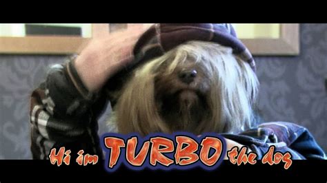 Very Funny Dog Turbo If You Like Ultimate Dog Tease