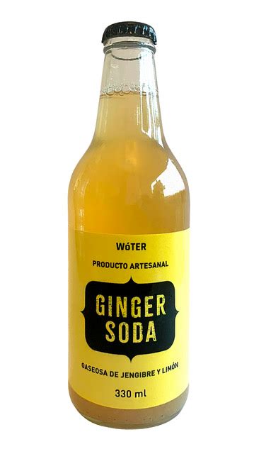 Ginger Soda 330 Ml 0 Azucar Pack S4 Unidades Alquimia Brands