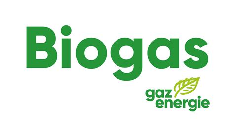 Anteil Biogas Neu 50 Belvedere Ag Zürich