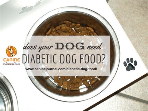 Here are some healthy dog food recipes to help your diabetic canine pet live a happy life. 36 best Dog Nutrition images on Pinterest | Dog feeding ...
