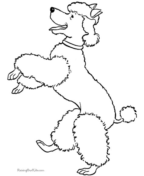 Puppy coloring book page with a poodle! poodle ... for embroidery | Dog coloring page, Puppy ...