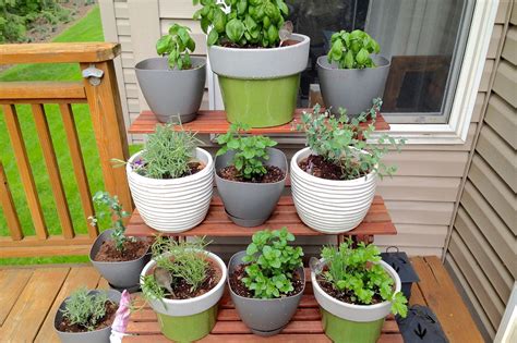 Kitchen Herb Container Garden Ps Bonjour