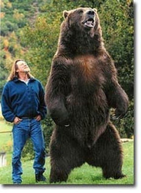 Bart The Bear Biographie Et Filmographie De Lacteur