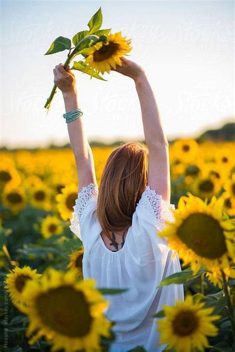 Pin By Diana Bercheva On Слънчогледи Sunflower Photography Sunflower