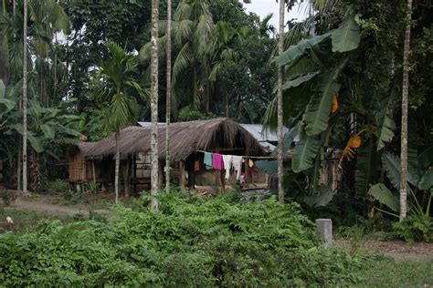 The Village Of Torajan Assam North East India Sensaos Flickr