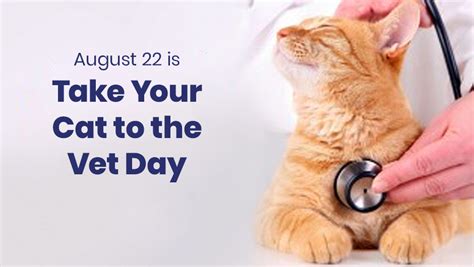 August 22 Is National Take Your Cat To The Vet Day Minnesota