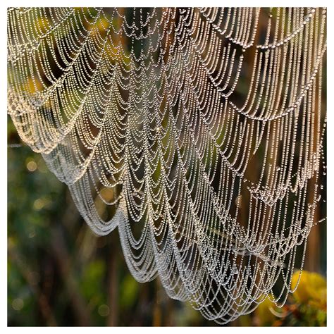 Hanging Web By Evapm On Deviantart