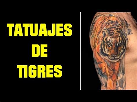Aficionado de tigres se tatúa a gignac y el resultado es desastroso. Tatuajes De Tigres - YouTube