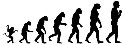 Teoria De Darwin Sobre La Evolucion