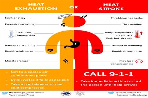 Heat Stroke And Heat Exhaustion Know The Symptoms Elite Homecare