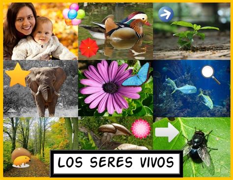 Los Seres Vivos