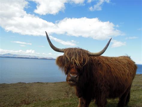 Eight Great Reasons To Visit Scotland Visit Scotland