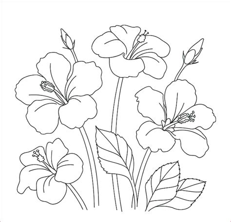 Gambar Sketsa Mudah Menggambar Bunga Lukisan Bunga Sketsa
