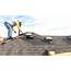 Do You Need Expert Roof Repair For Your Home  Eco Friendly Info