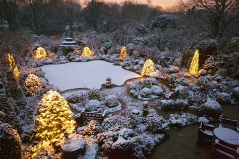 In the winter, they break up the yard by providing nice lines with contour. Creating the perfect winter garden wonderland | | Founterior