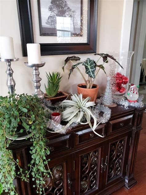 Houseplants And Christmas Can Mix And Mingle Indie Decor Houseplants