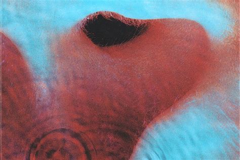 How Pink Floyd Found Their Collective Voice With Meddle