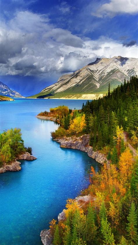 Tons of awesome 4k phone hd wallpapers to download for free. 50 Bright Phone Wallpaper HD Backgrounds For Andriod And ...